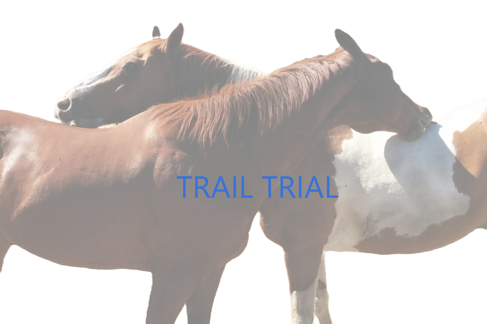 Trail Trial