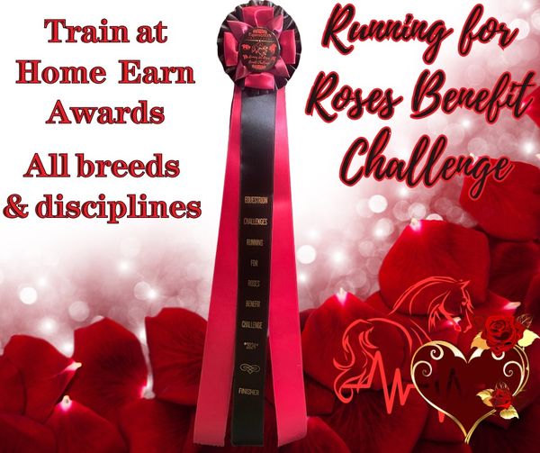 EquestriON Challenges
